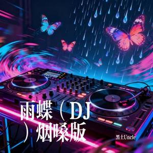 雨蝶 (DJ)烟嗓版 (Cover 小阿枫)
