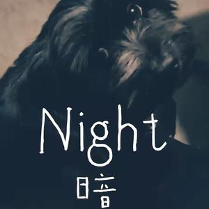 Night