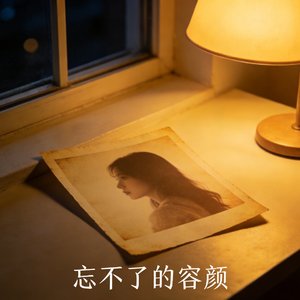 忘不了的容颜.mp3