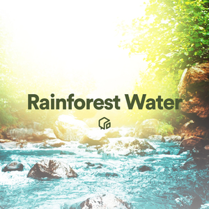 Stream Water Dripping with Birds in Forest (Loopable With No Fade)