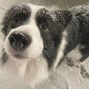 武家坡（xH2 remix）