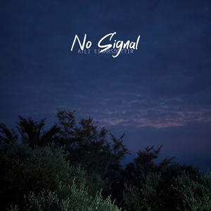 No Signal