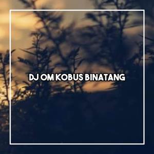 DJ OM KOBUS BIAR NAKAL TETAP GANTENG