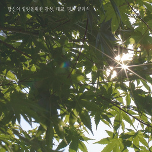 Chopin - Etude No.3 In E Major Op.10-3 `Tristesse` (쇼팽 - 연습곡 3번 마장조 작품번호 10-3 `이별의 곡`)