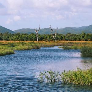 我从来没去过纽约