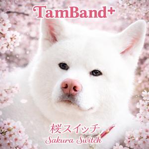 秋田犬のうた 30