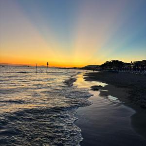 futile devices (slowed)