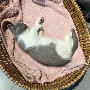 抽象爱（Prod by.Apb）