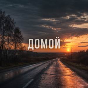 Домой
