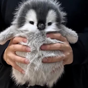 Cosa Nuestra (sped up)