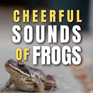 Frog Sounds