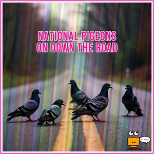 NATIONAL PIGEONS ON DOWN THE ROAD
