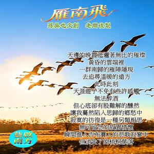雁南飛