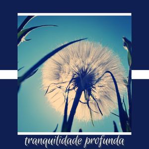 Vulnerabilidade Oculta