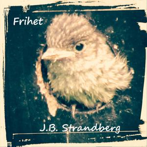 Avklippta Liljekonvaljer