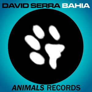 Bahía
