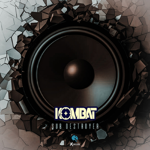 Sub Destroyer (Original Mix)