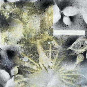 SUICIDE OR PSILOCYBIN