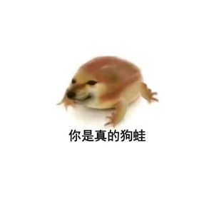 比比拉布,我的刀盾(MinGtist明鸡,THOME唐米 RMX)