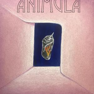 When She's Gone Away