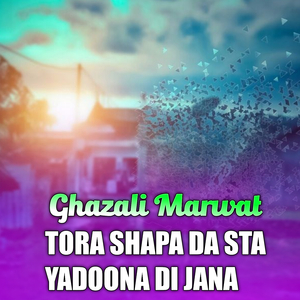 TORA SHAPA DA STA YADOONA DI JANA