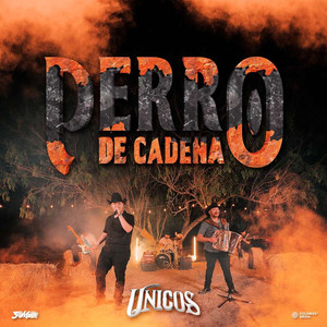 Perro De Cadena