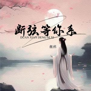 断弦等你系 (DJ)