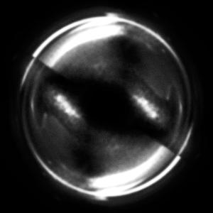 TOMIDLIGHT