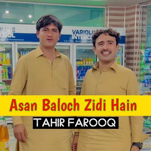 Asan Baloch Zidi Hain
