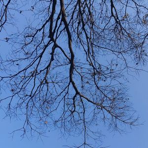 【free】What the moon brings