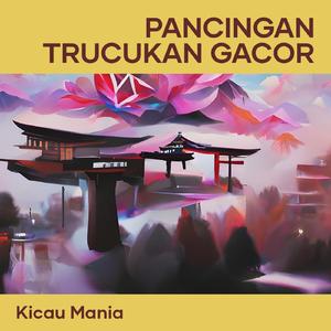 Pancingan Trucukan Gacor