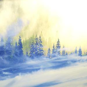 Snowstorm