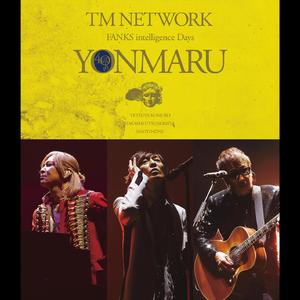 TK Solo -YONMARU LIVE ver.-