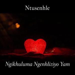 Ngikhuluma ngenhliziyo yami