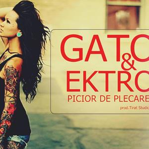 PICIOR DE PLECARE (feat. Ektro & EmoRap Music)