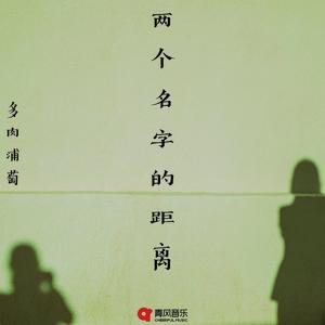 两个名字的距离