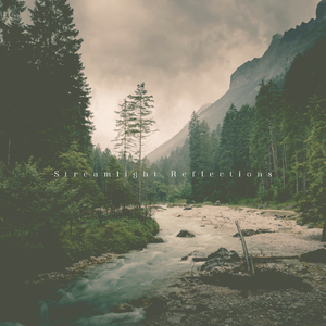 Streamlight Reflections