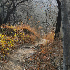 国家史诗底蕴 National epic depth.