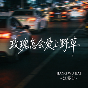 玫瑰怎会爱上野草（原版)