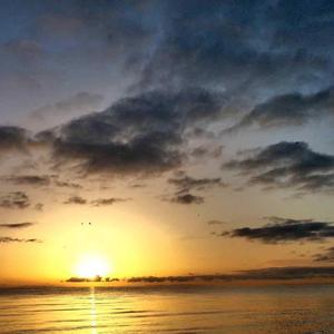 放下心中的你放下所有牵挂