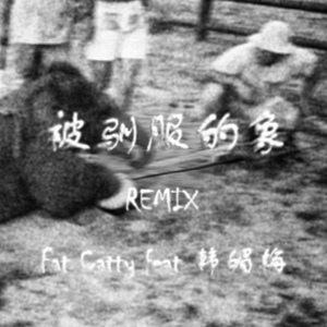 蔡健雅 - 被驯服的象 Remix