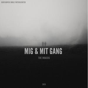 Mig & Mit Gang (The Dracos)