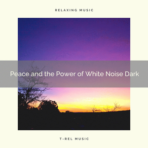 Deep Relaxation and Calm White Noise for Good Dreams