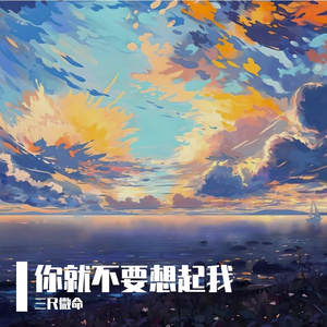 你就不要想起我