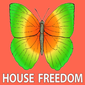 Hang Low (Q-Green Extended Remix)