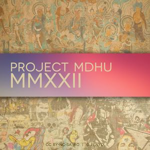 「京胡」阳光彩虹小白马