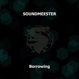 Borrowing