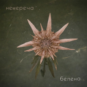 Белена