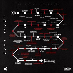Crazy Year (feat. LD)