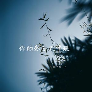 万千都是伤自己